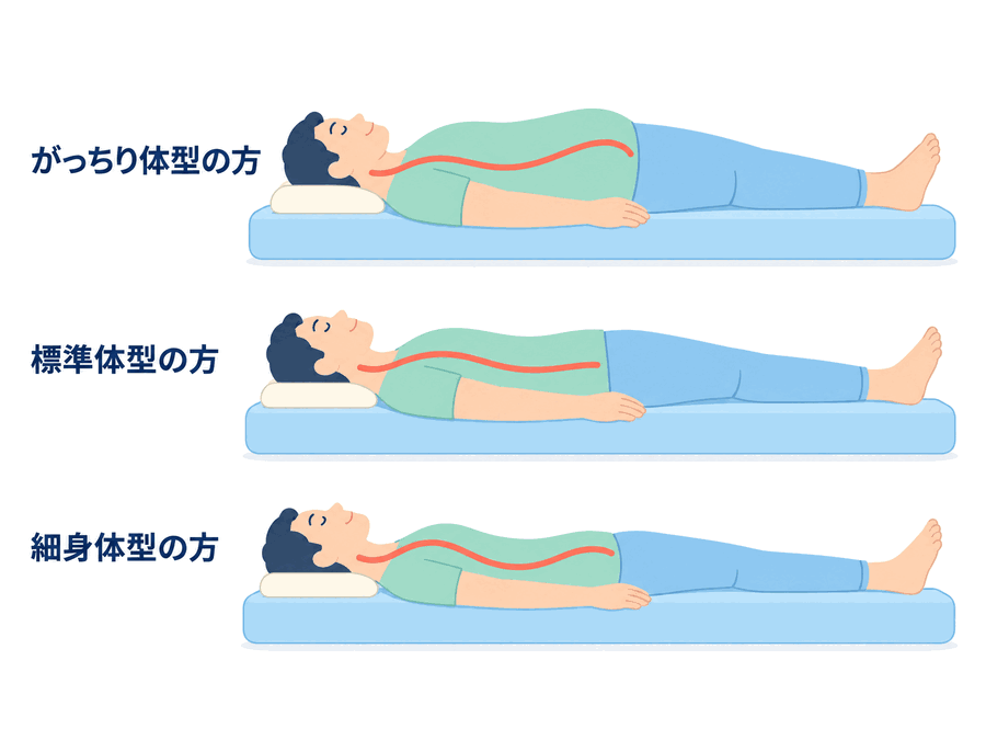 体型タイプの分類図。がっちり体型・標準体型・細身体型の3つで、背骨のラインがどう変わるかを示している。