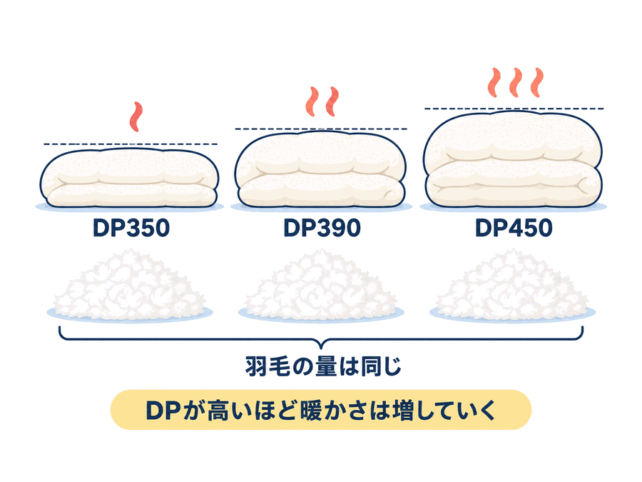 ダウンパワーと暖かさの関係図。DP350・DP390・DP450 の順にふくらみが増していく一方、下に並べた羽毛の量は3つとも同じ。DPが高いほど暖かさは増していく。