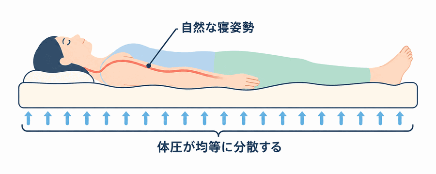 体に合った寝姿勢の図。自然な寝姿勢が保たれ、体圧が均等に分散している状態。